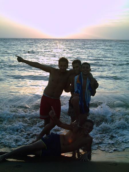 les fous